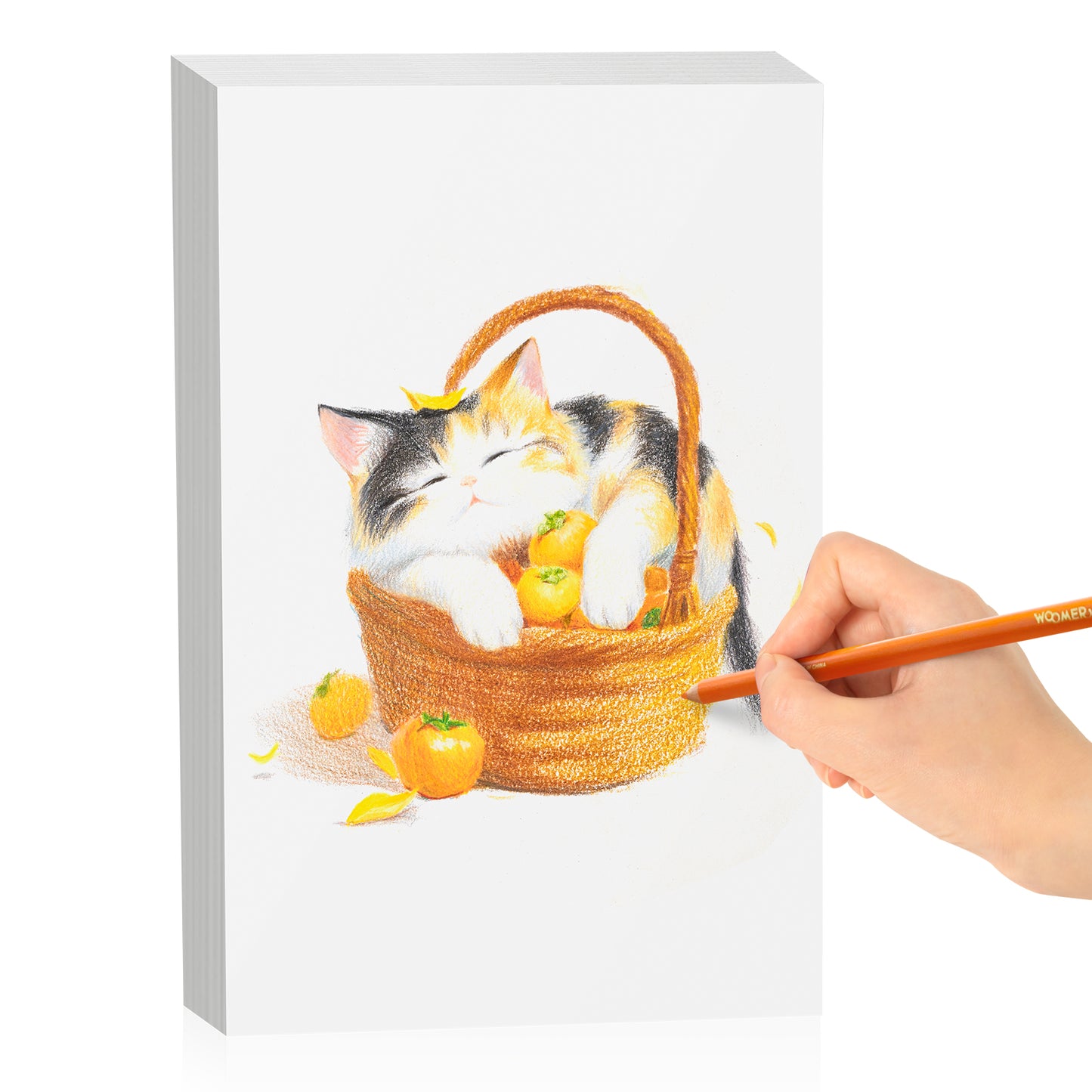 Woomer Fine-grain Colored Pencil Paper– 5.83x8.27in,200 gsm,Double-Sided, 20 Sheets