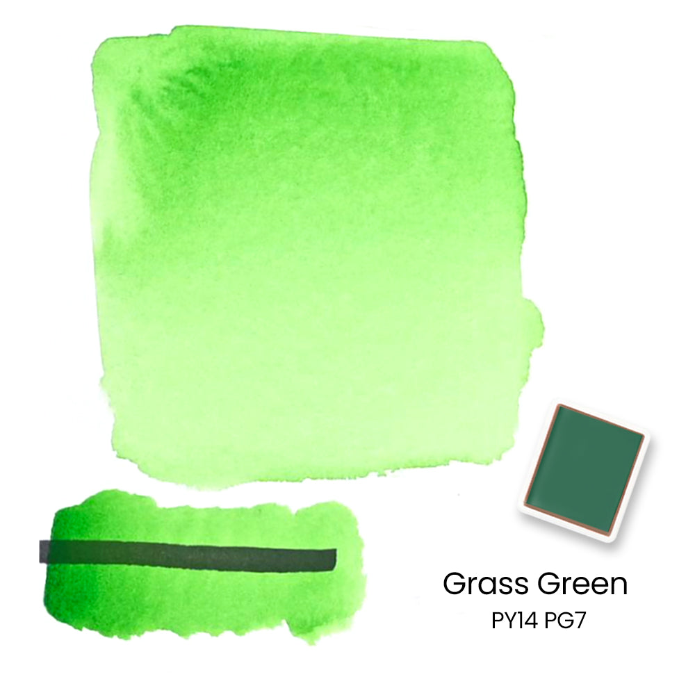 Woomer 24 Watercolor Paint Set - Solid Transparent Watercolor Paint for Professional