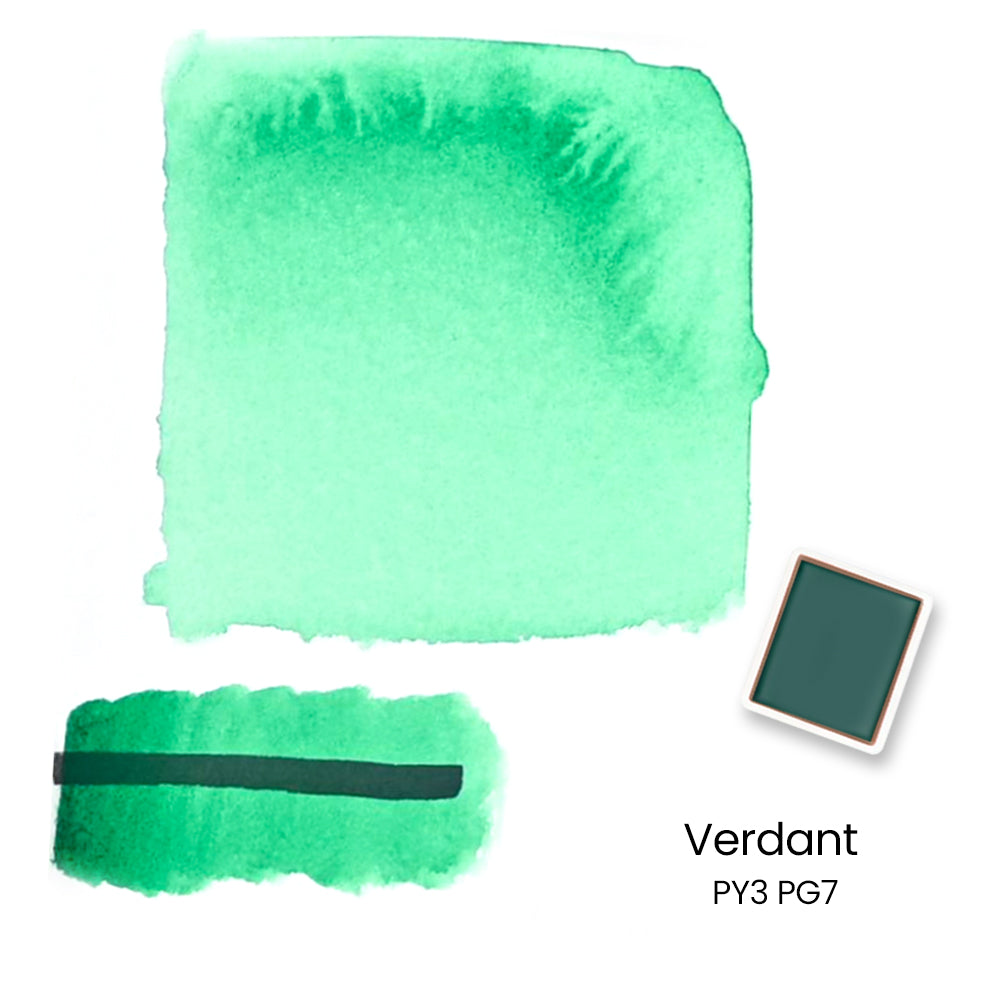 Woomer 24 Watercolor Paint Set - Solid Transparent Watercolor Paint for Professional