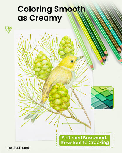 Woomer 30 Forest Colored Pencils