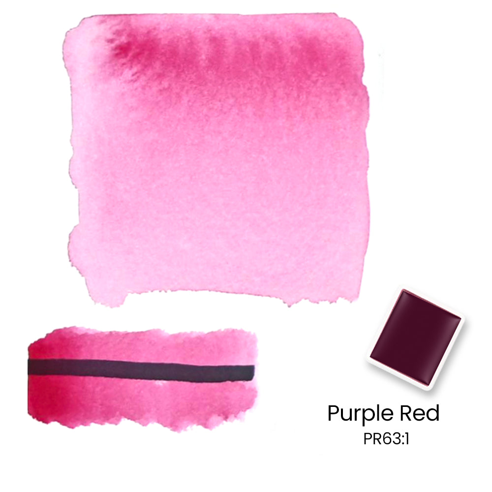 Woomer 24 Watercolor Paint Set - Solid Transparent Watercolor Paint for Professional