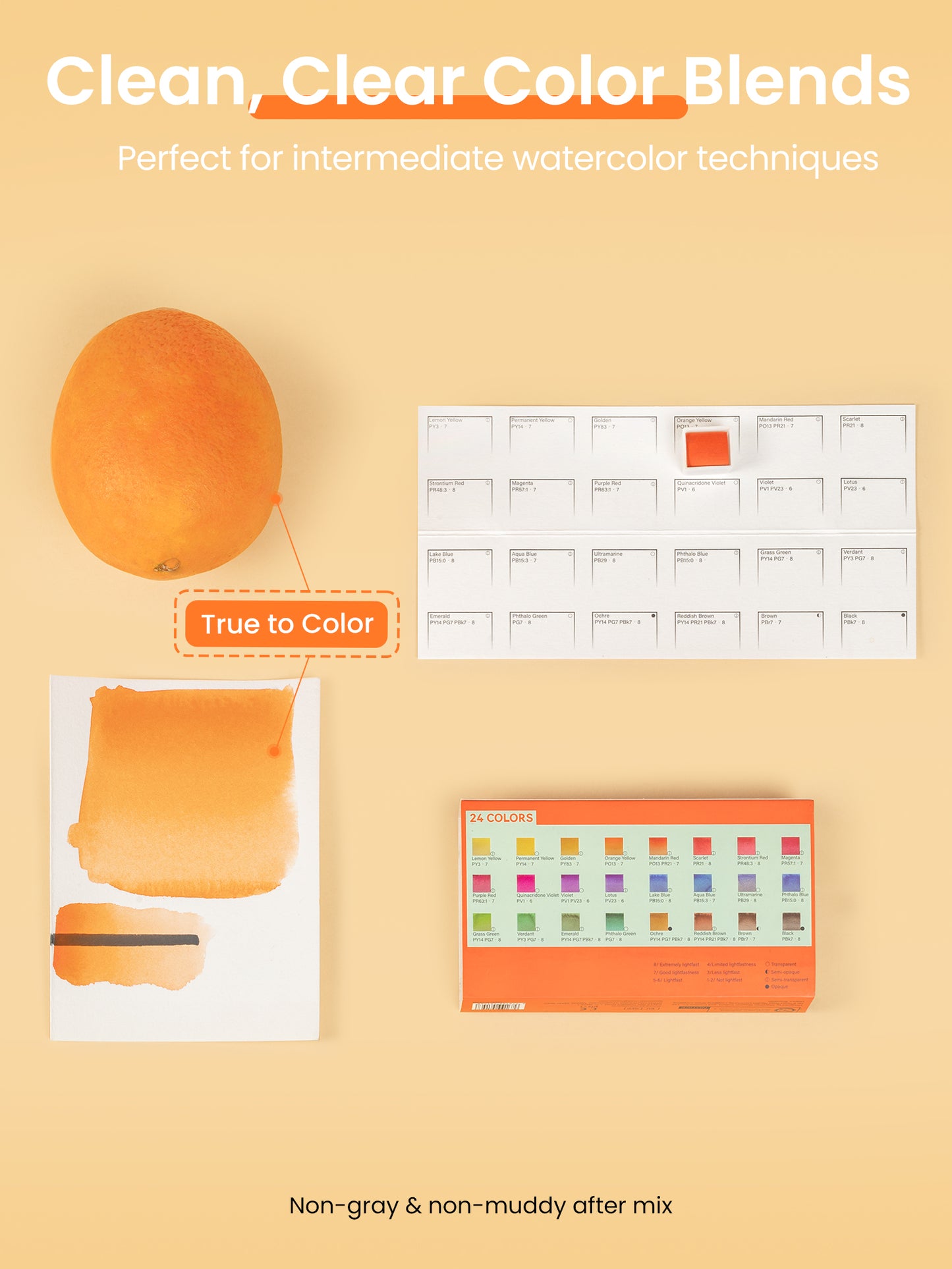 Woomer 24 Watercolor Paint Set - Solid Transparent Watercolor Paint